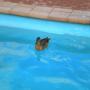 DSCN1743.JPG